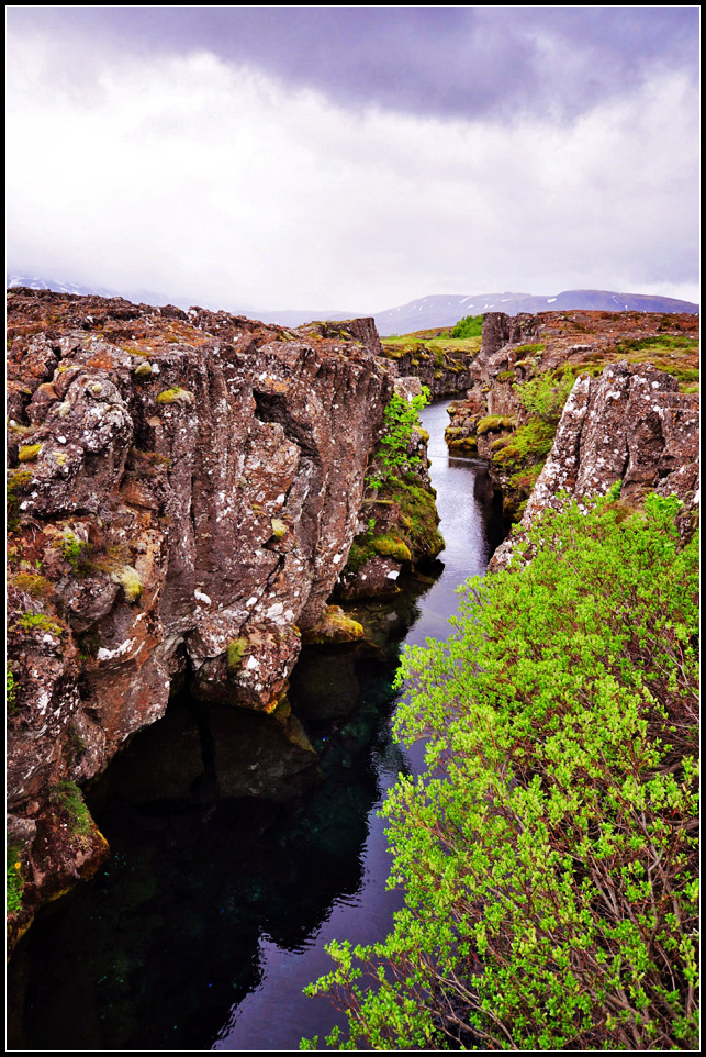 DSC_1751_1.jpg