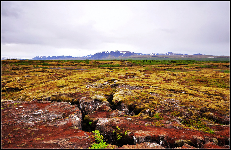 DSC_1770_1.jpg