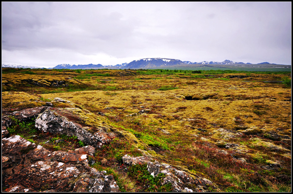 DSC_1776_1.jpg