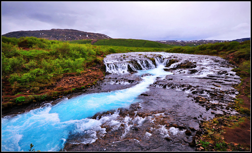 DSC_1800_1.jpg