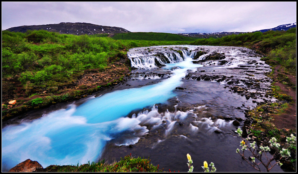 DSC_1817_1.jpg