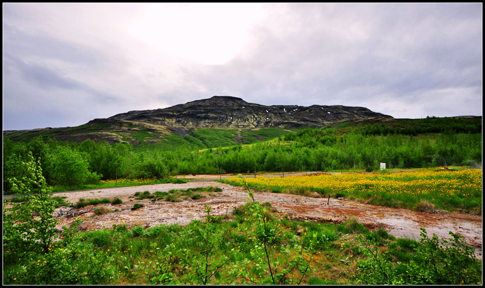 DSC_1845_1.jpg