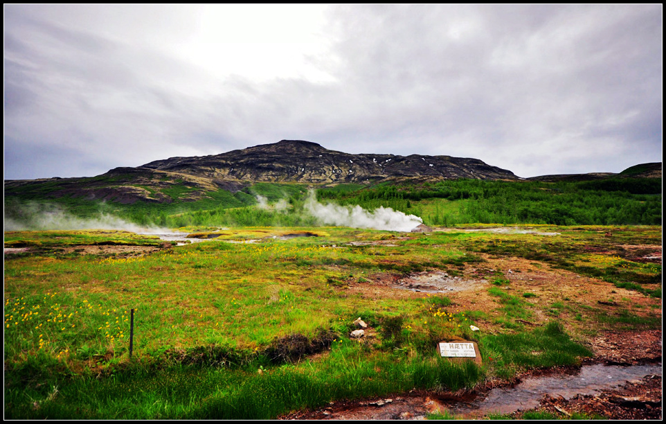 DSC_1846_1.jpg