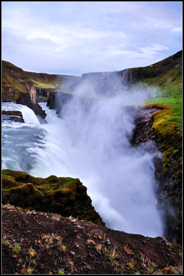 DSC_1917_1.jpg