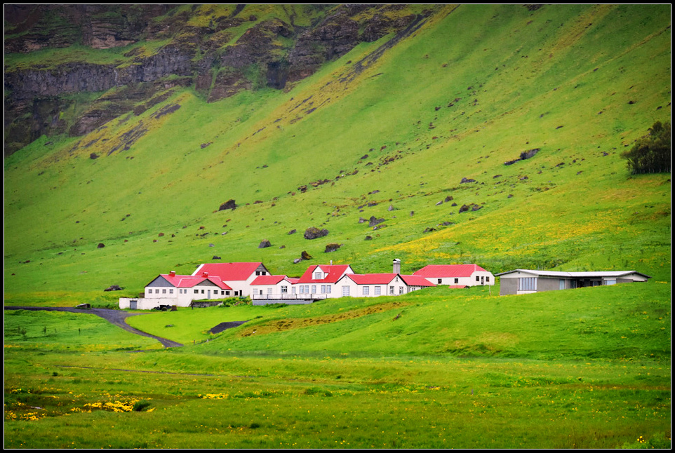 DSC_0267_1.jpg