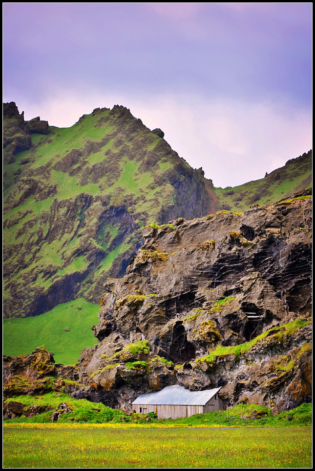 DSC_0325_1.jpg