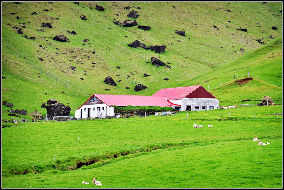 DSC_0340_1.jpg