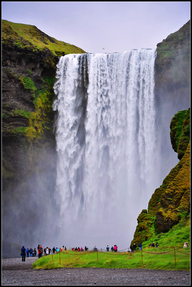 DSC_0342_1.jpg
