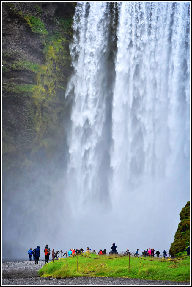 DSC_0345_1.jpg