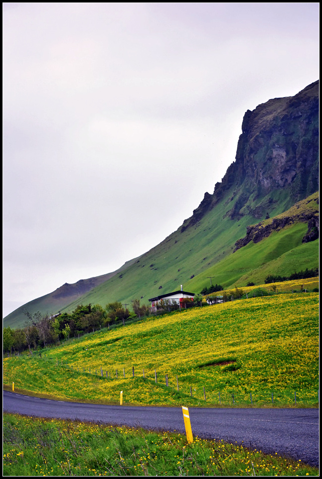 DSC_0402_1.jpg