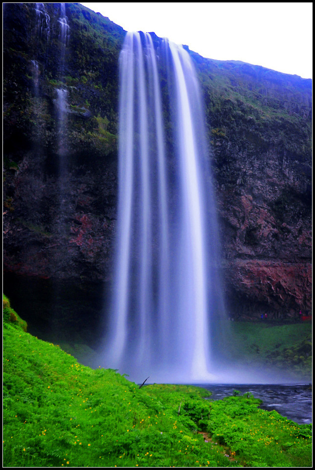 DSC_2071_1.jpg