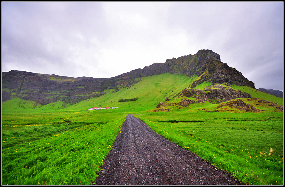DSC_2081_1.jpg
