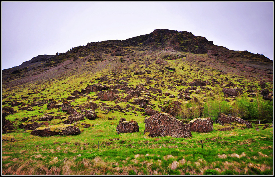 DSC_1956_1.jpg