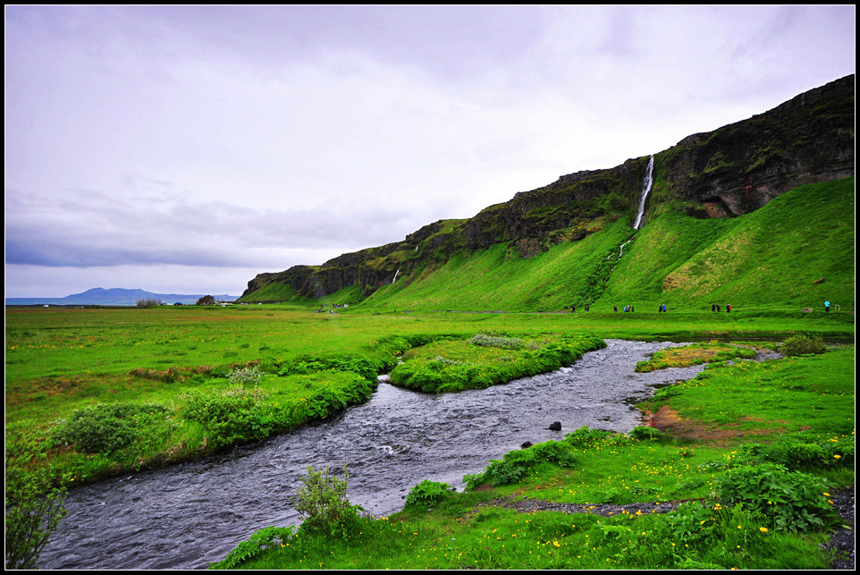 DSC_1999_1.jpg