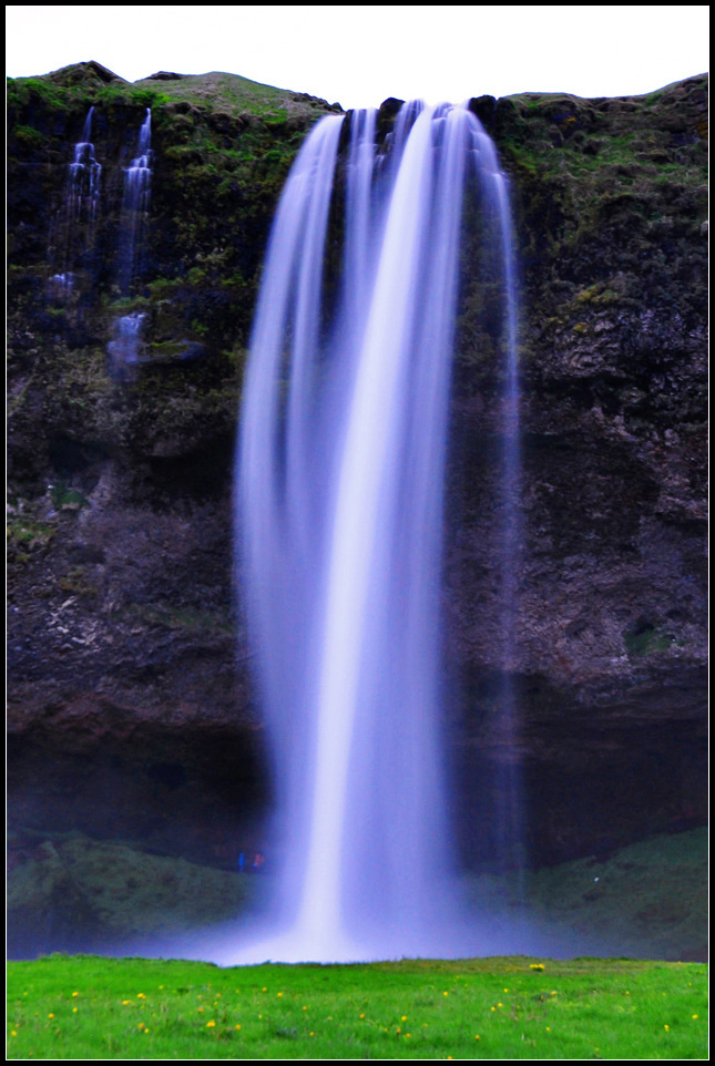 DSC_2007_1.jpg