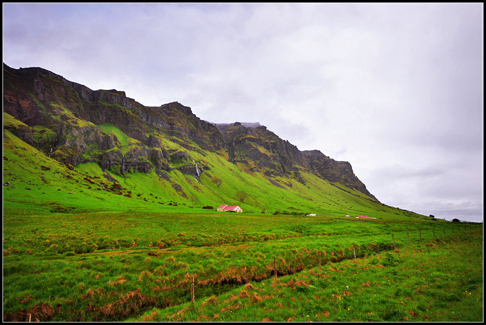 DSC_2100_1.jpg