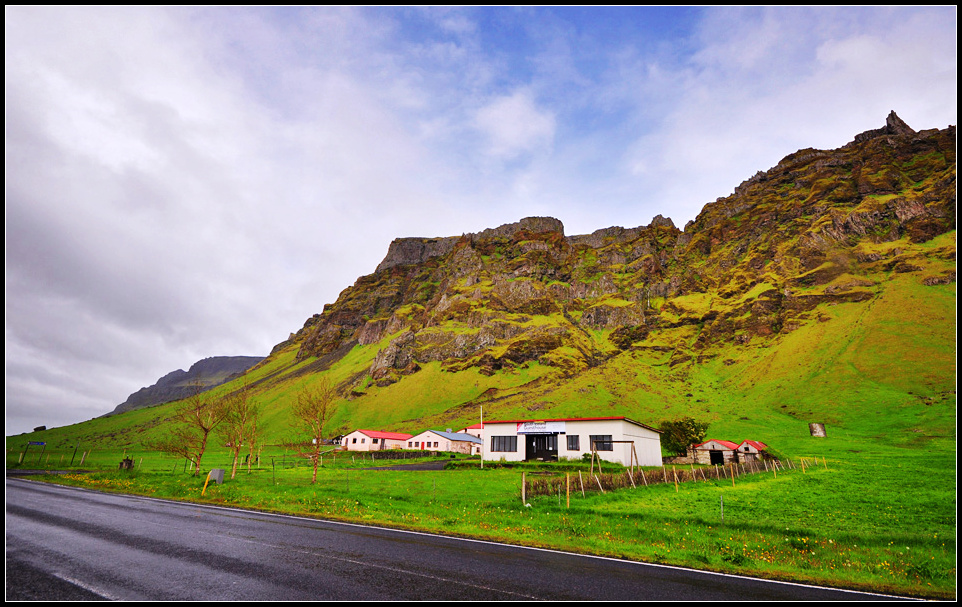 DSC_2102_1.jpg