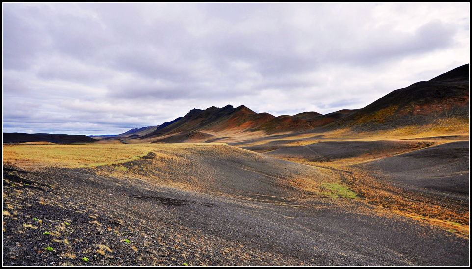 DSC_2858_1.jpg