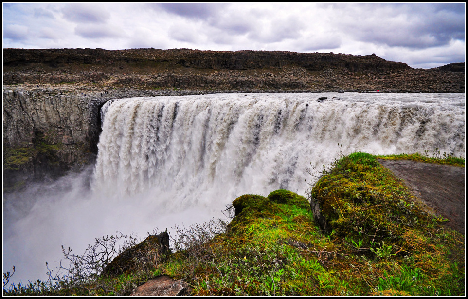 DSC_2891_1.jpg