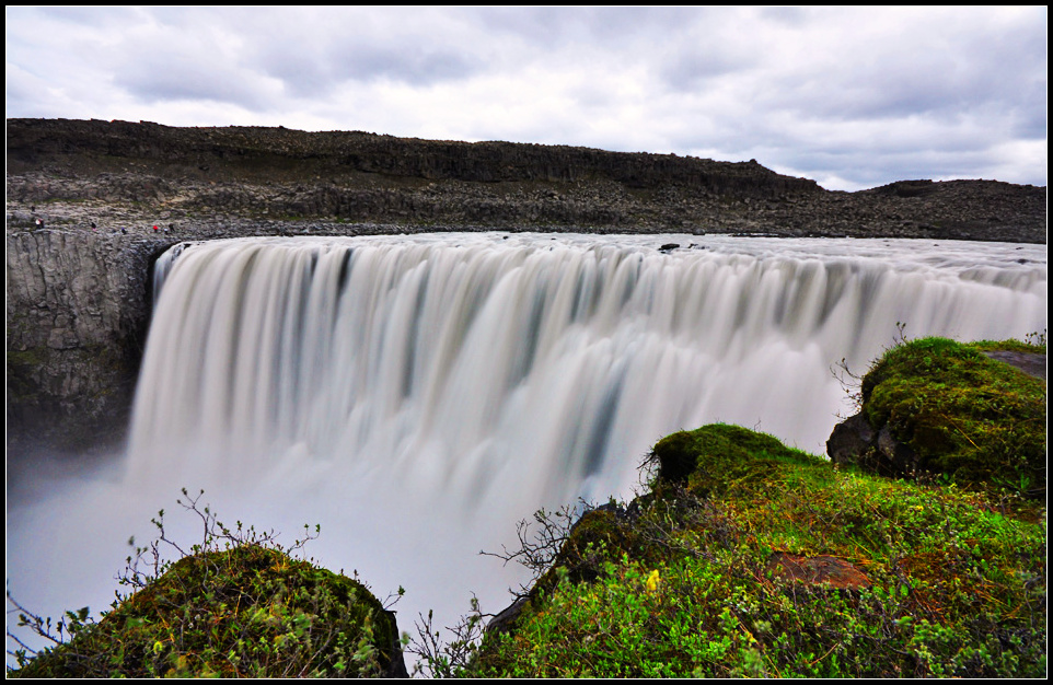 DSC_2901_1.jpg