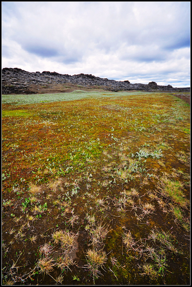 DSC_2940_1.jpg