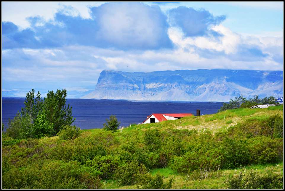 DSC_0540_1.jpg