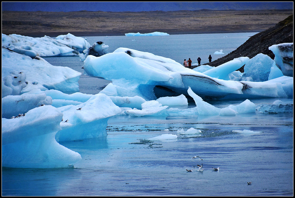 DSC_0570_1.jpg