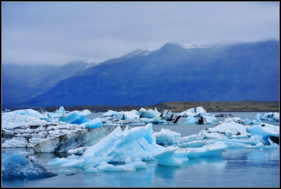 DSC_0586_1.jpg