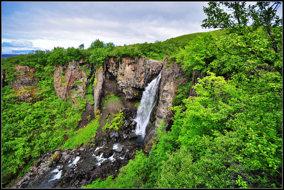 DSC_2475_1.jpg