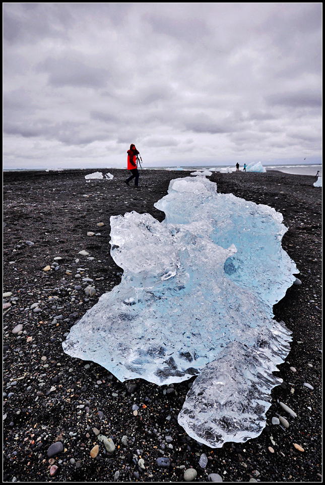 DSC_2646_1.jpg