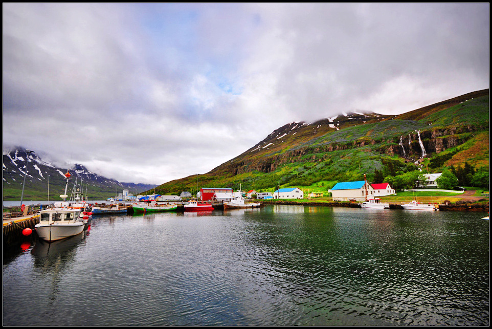 DSC_2806_1.jpg
