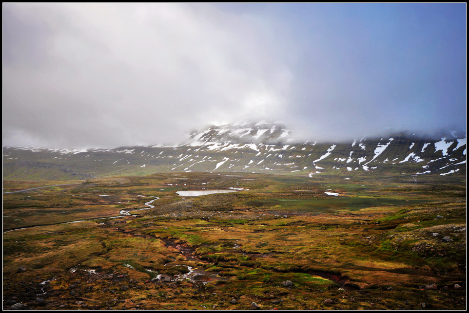 DSC_2818_1.jpg