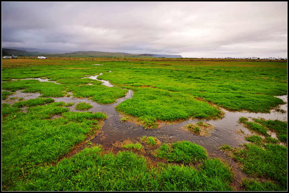 DSC_2457_1.jpg