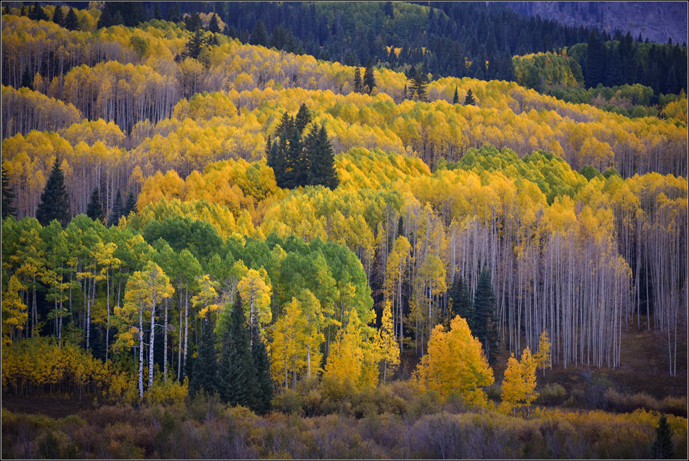DSC_2265_1.jpg