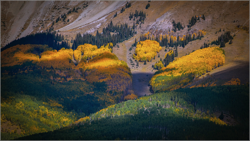 DSC_2099_1.jpg