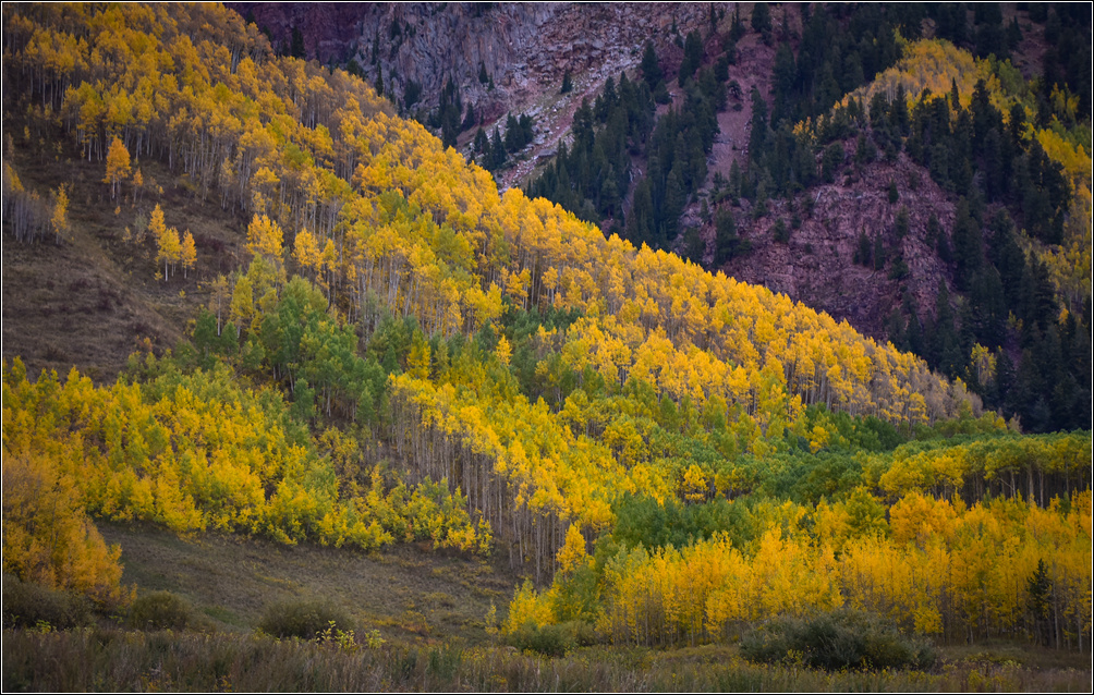 DSC_2361_1.jpg