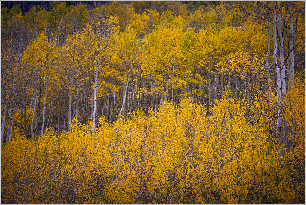 DSC_2370_1.jpg