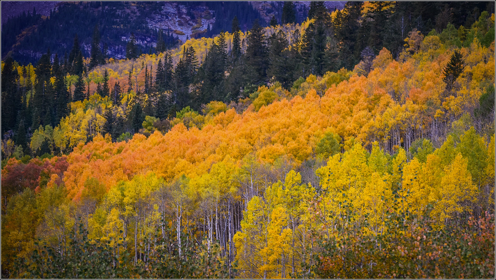 DSC_2395_1.jpg