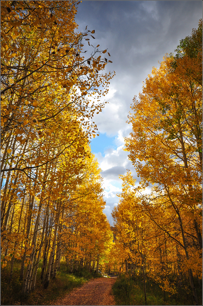 DSC_6791_1.jpg
