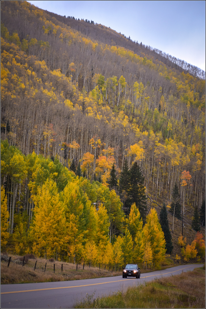 DSC_2559_1.jpg