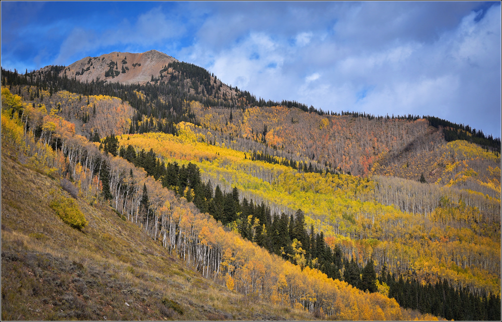 DSC_2648_1.jpg