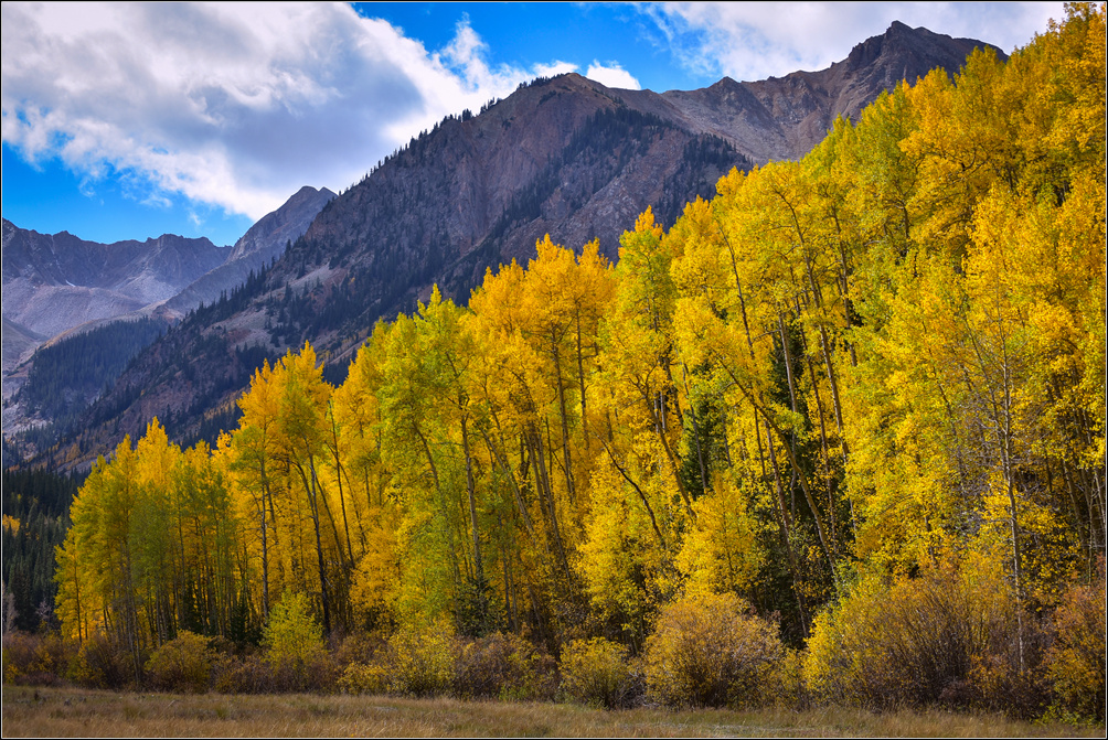 DSC_2663_1.jpg