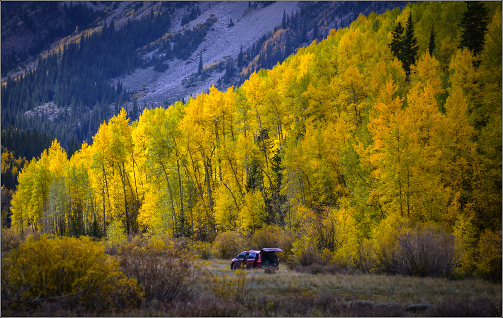 DSC_2677_1.jpg