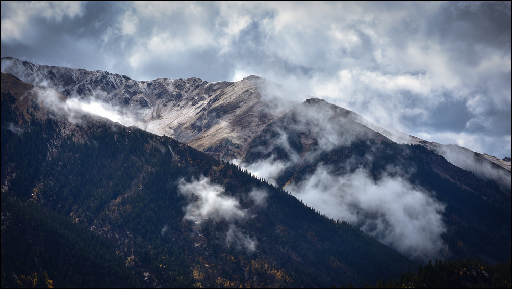 DSC_2743_1.jpg