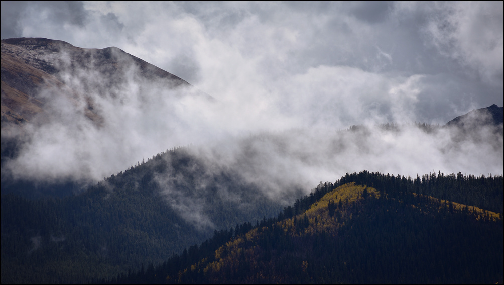 DSC_2749_1.jpg
