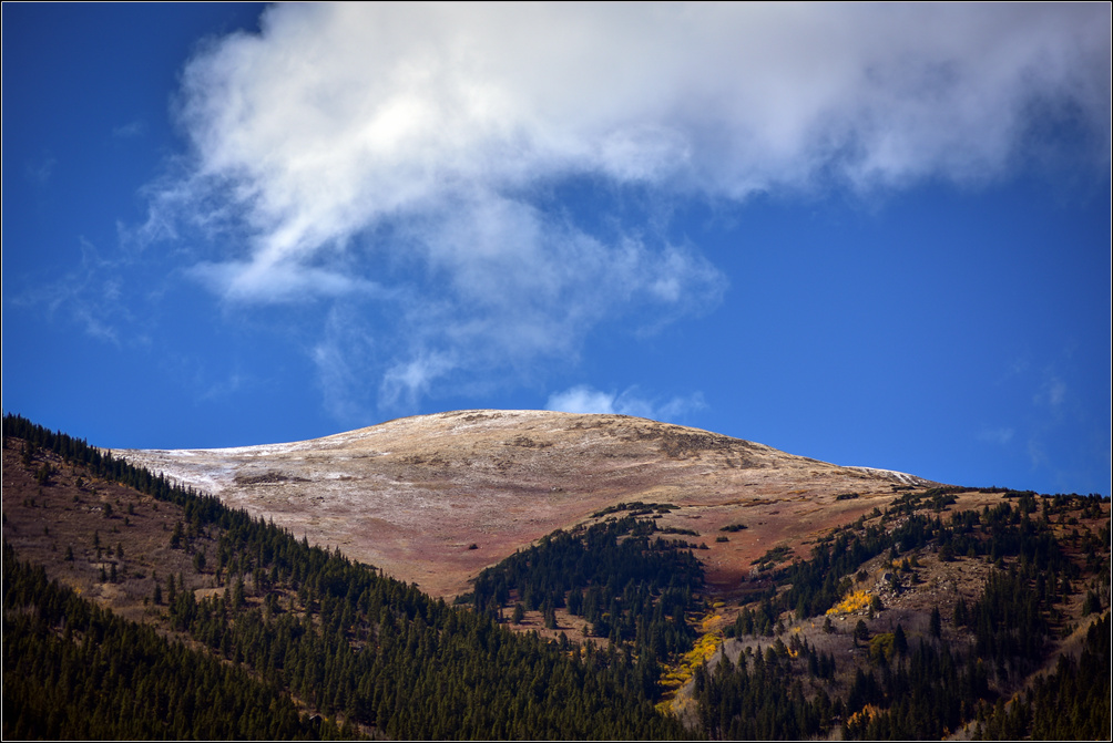 DSC_2761_1.jpg