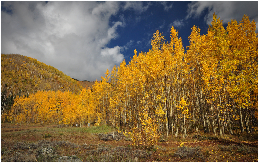 DSC_6849_1.jpg