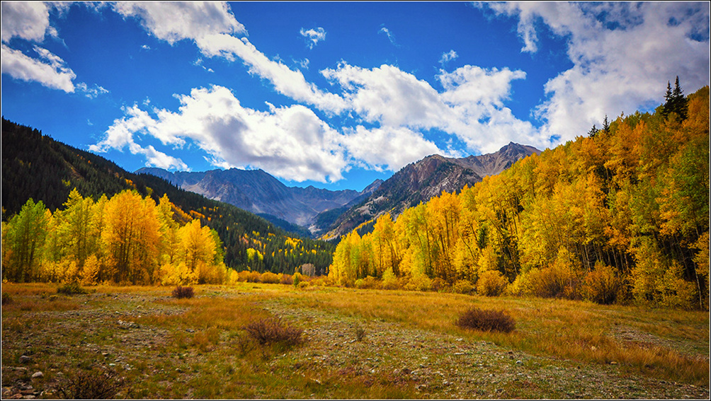 DSC_6889_1.jpg