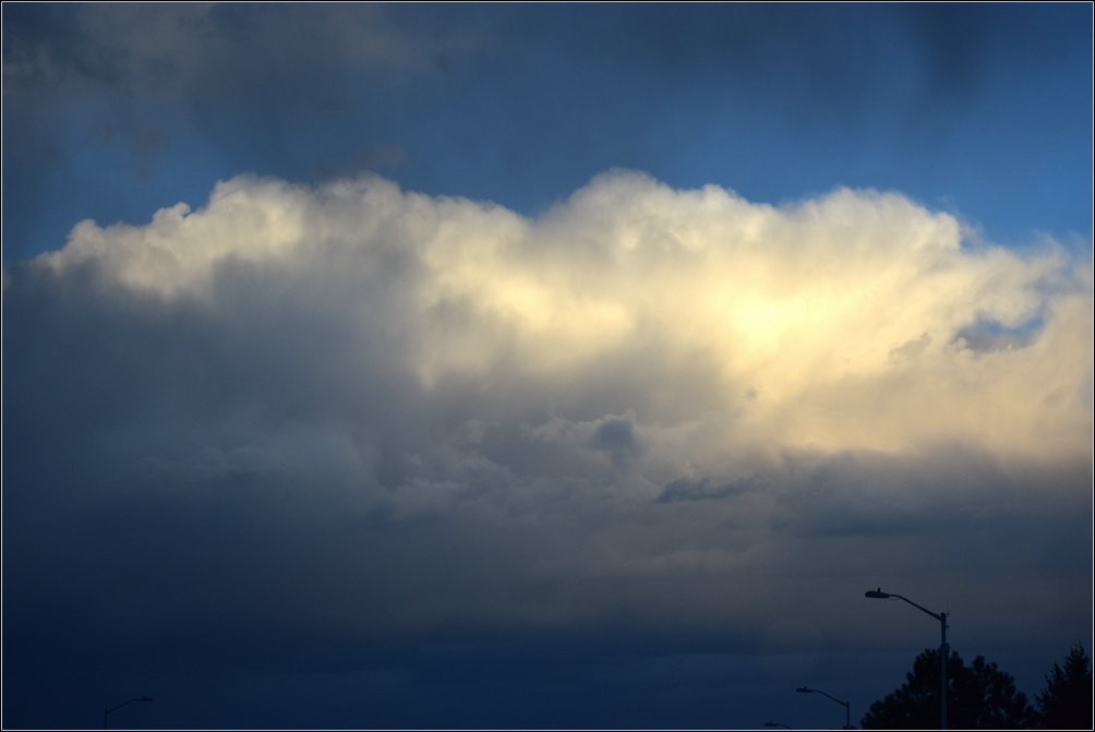 DSC_2832_1.jpg