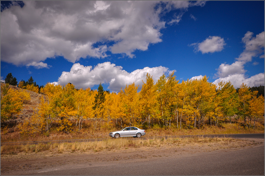 DSC_5234_1.jpg